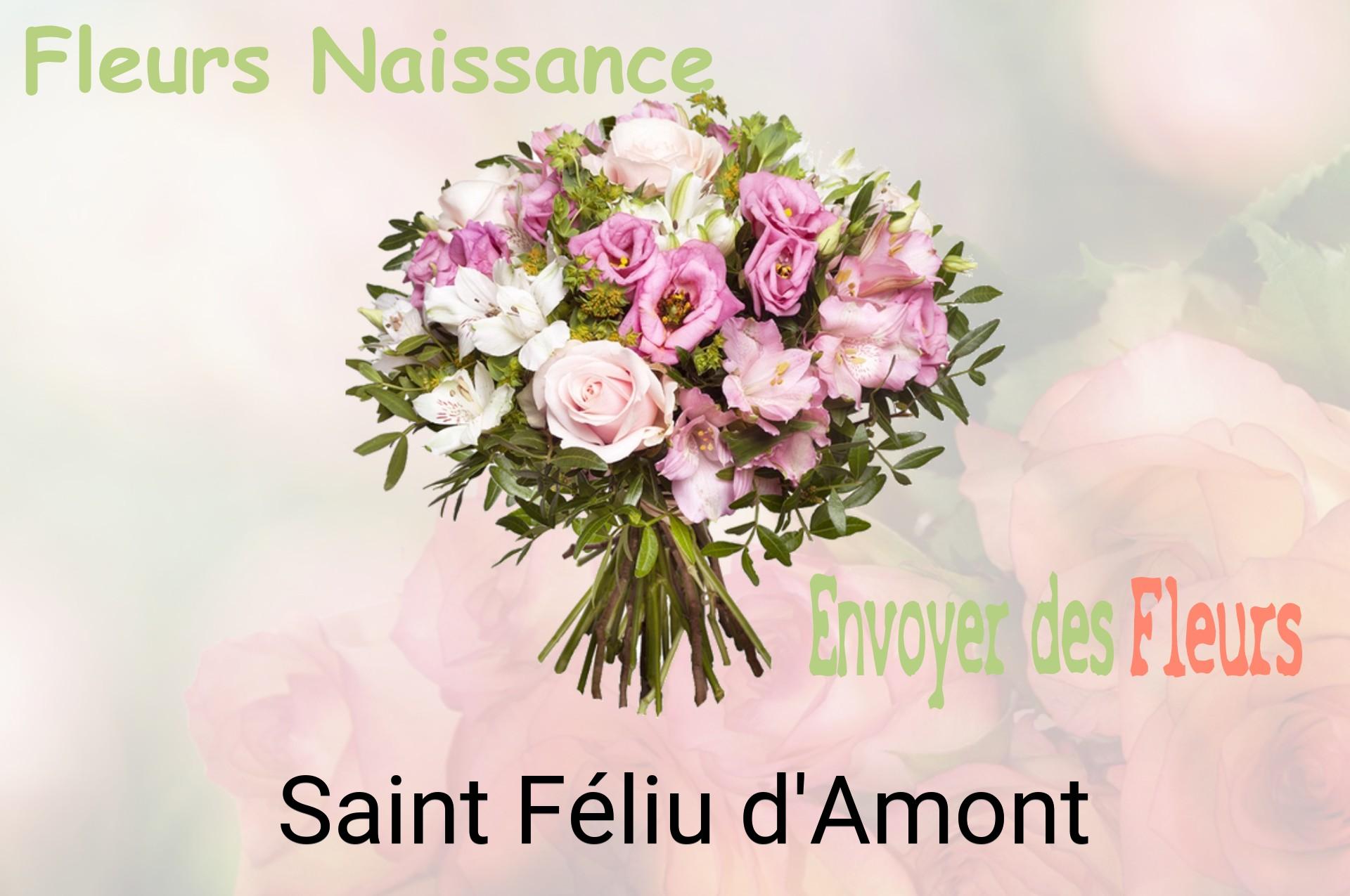 Bouquet de fleurs de naissance livré à Saint-Féliu-d'Amont